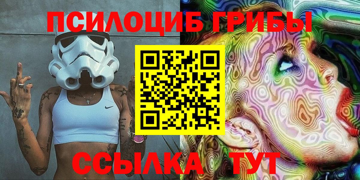 Галлюциногенные грибы MAGIC MUSHROOMS  Вход с VPN  Чехов 