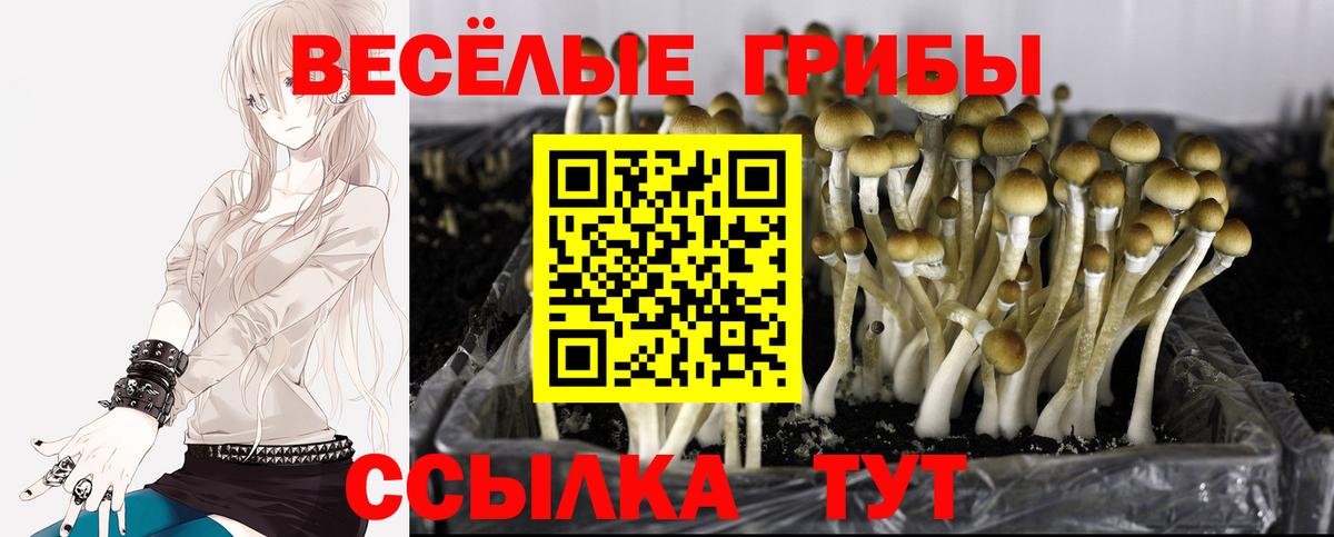 Псилоцибиновые грибы мухоморы Чехов